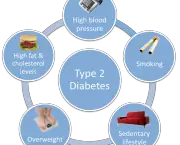 como-a-diabetes-afeta-os-rins-nos-seres-humanos-6