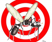 como-se-proteger-da-dengue-6