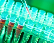 http://www.dreamstime.com/stock-photos-laboratory-research-cancer-diseases-rack-rna-samples-image39534183