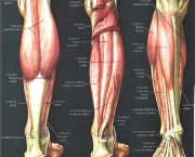Contratura Muscular na Panturrilha (7)