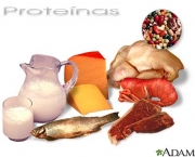 dieta-de-proteina-passo-a-passo-2