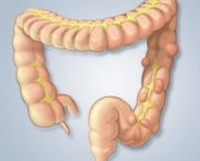 Doença do Intestino (2)