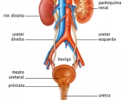 dor-ao-urinar-causas-e-sintomas-3