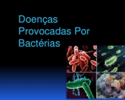 bacterias-doenas-provocadas-1-728.jpg