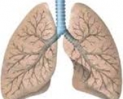 foto-enfisema-pulmonar-12