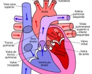 infarto-do-miocardio-e-metodos-de-prevencao-4
