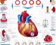 infarto-do-miocardio-e-metodos-de-prevencao-5