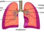 foto-manobra-de-reexpansao-pulmonar-12
