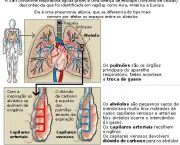 pneumonia-asiatica-12-perguntas-e-respostas-3
