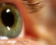 principais-doencas-dos-olhos-e-anexos-que-afetam-os-individuos-2