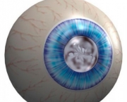 principais-doencas-dos-olhos-e-anexos-que-afetam-os-individuos-3