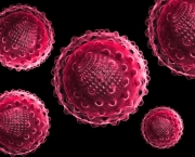 Tipos de Vírus (2)