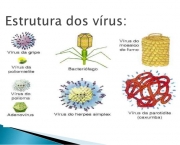 Tipos de Vírus (9)