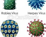 Tipos de Vírus (13)