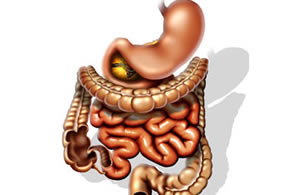 Os Sintomas da Doença de Crohn