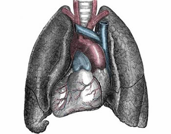Órgãos Invertidos