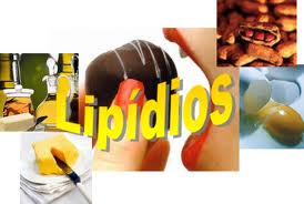 Lipidios
