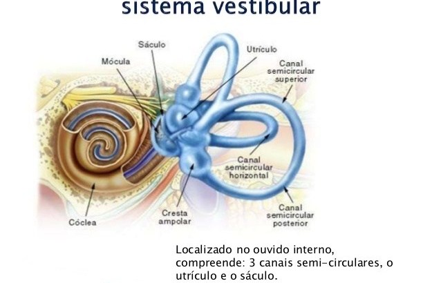 Sistema Vestibular 