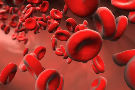 O que há de diferente no sangue de quem tem anemia falciforme