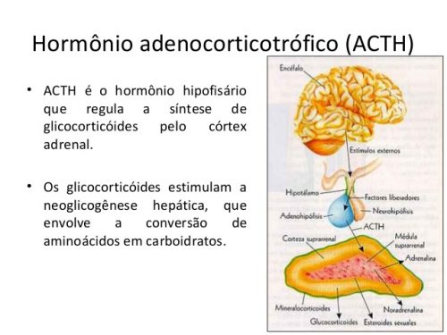 Hormônio ACTH