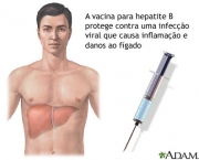 hepatite-b-1