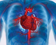 combate-doencas-cardiovasculares-2