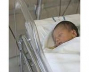 foto-analisando-recem-nascido-10