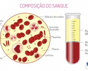 Anemia Megaloblástica Patogenia (18)