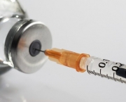 Campanha Nacional de Vacinação (10)
