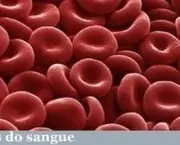 Coágulos de Sangue (4)