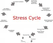 como-lidar-melhor-com-o-estresse-5