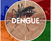 como-se-proteger-da-dengue-2