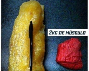 Como Transformar Gorduras em Músculos (10)