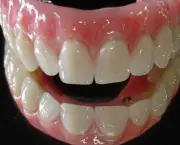 Curso Prótese Dentária (2)