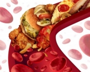 Dieta que Reduz o Colesterol (5)