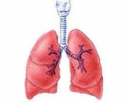 foto-enfisema-pulmonar-08