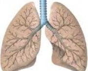 foto-enfisema-pulmonar-13