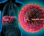 Hepatite A (2)
