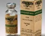 foto-penicilina-01