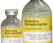 foto-penicilina-04