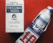 foto-penicilina-06