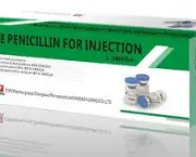 foto-penicilina-10