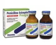 foto-penicilina-11