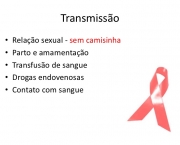 Questões Sobre Culpa na Transmissão da AIDS (10)
