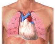 foto-tromboembolismo-pulmonar-06