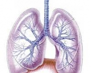 foto-tromboembolismo-pulmonar-09