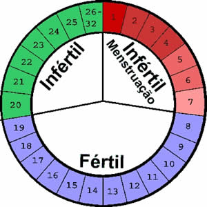 Período de Ovulação