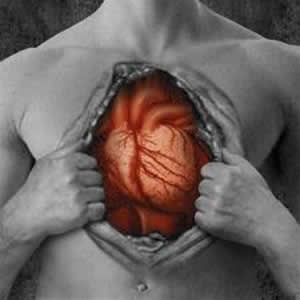 Estudo de Células-Tronco no Coração