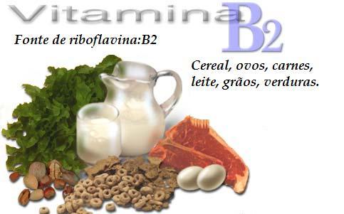 Alimentos Ricos em Vitamina B12