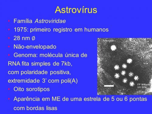 Astrovírus